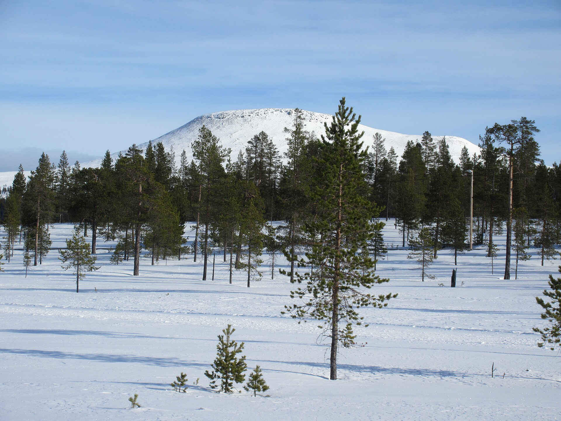 Nipfjället vid Idre — fjäll, inte ett Sveaskog-kortområde