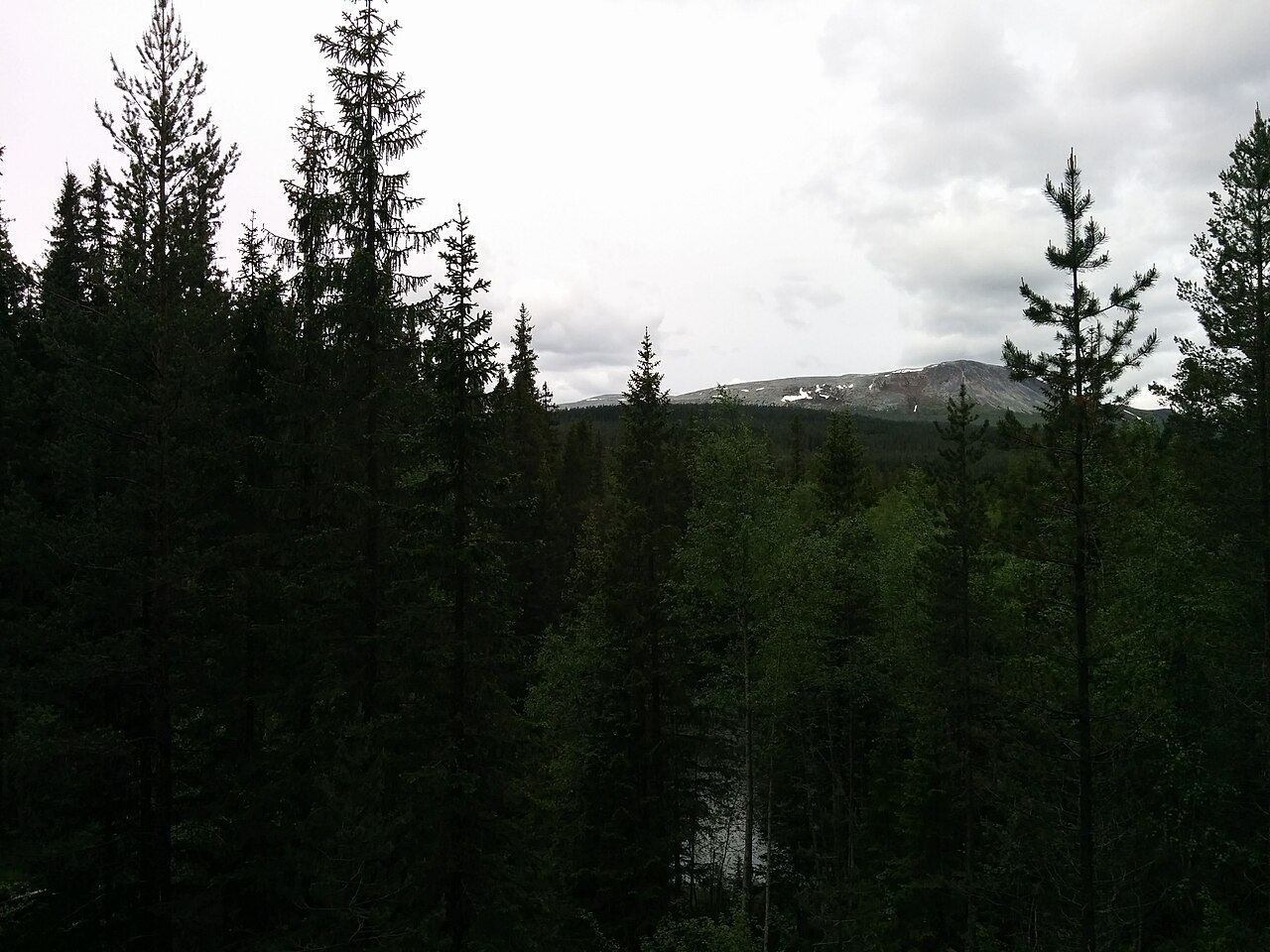 Sonfjällets nationalpark, entré Valmen — inte guidernas såt