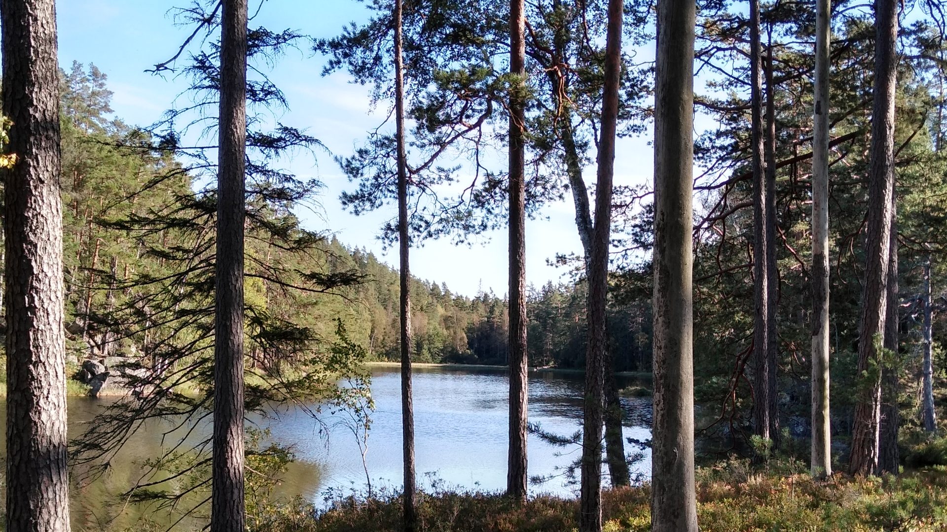 Tiveden — skog och sjö, inte ett namngivet Häradskog-arrende
