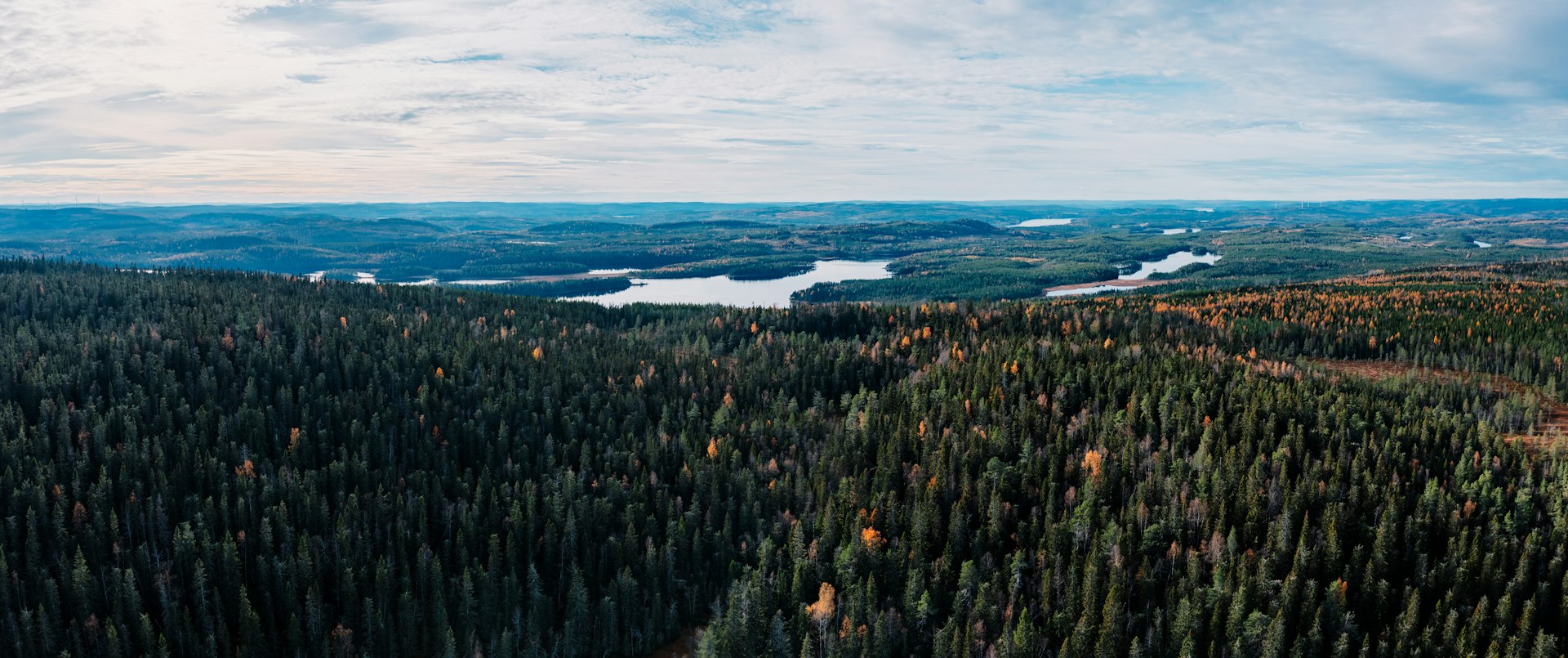 Skog vid Sundsvall — landskap, inte ett namngivet SCA-kortområde