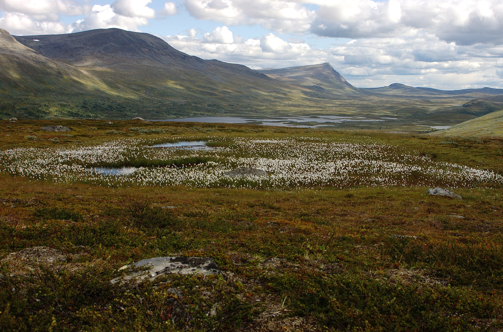 Vindelfjällen i Västerbotten — landskap, inte Virisens pass